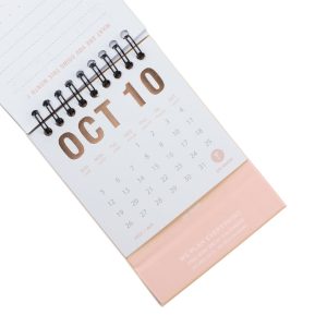 2025 Pink Mini Desk Calendar 7
