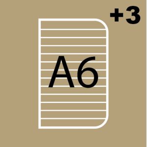 JOURNAL SET 3 MIX LABEL 2024-11