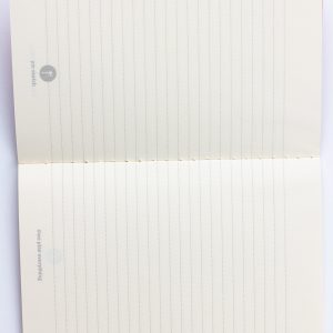 RED journal 2025-46