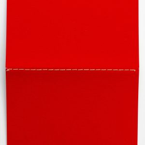 RED journal 2025-47