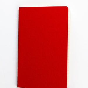 RED journal 2025-48