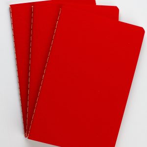RED journal 2025-49